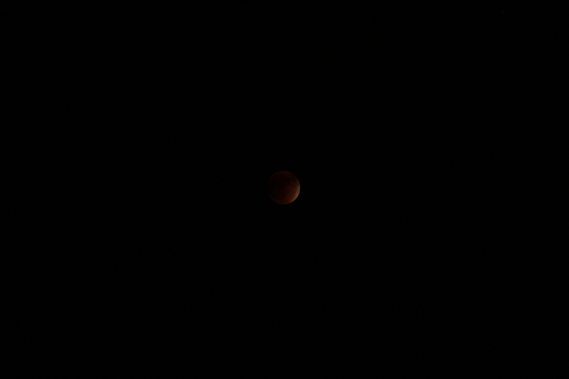 Illustration for article titled 34 Amazing Photos Of The Super Blood Moon
